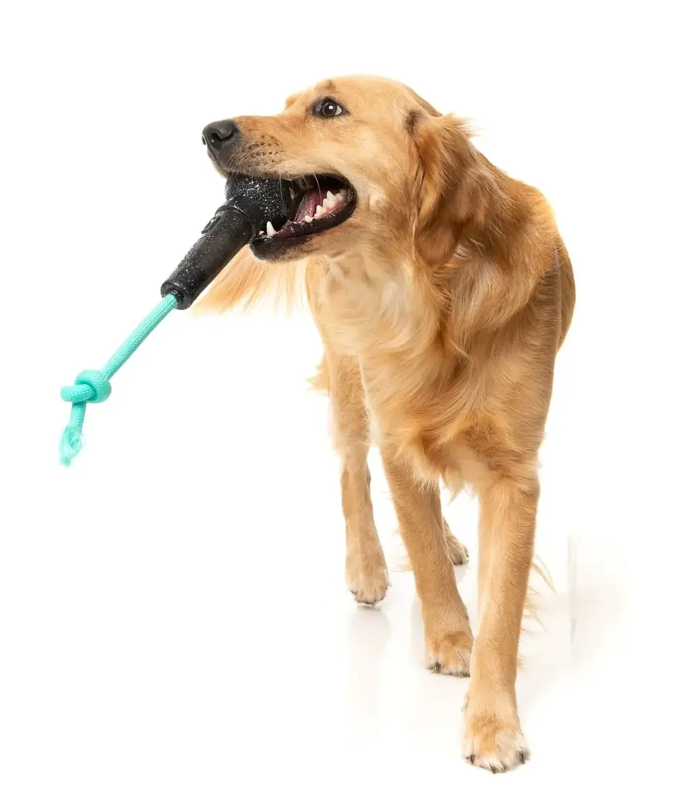 Thumbnail: Fuzzyard Mic Drop - Interactive Chew Toy