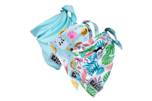rc-pets-zephyr-bandana_edited.png