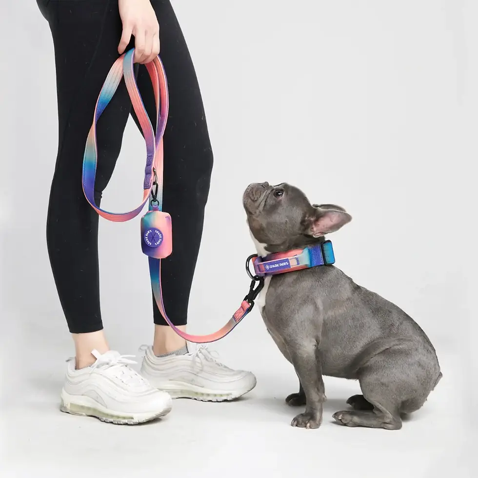 Thumbnail: Spark Paws Comfort Control Dog Leash - Kaleidoscope