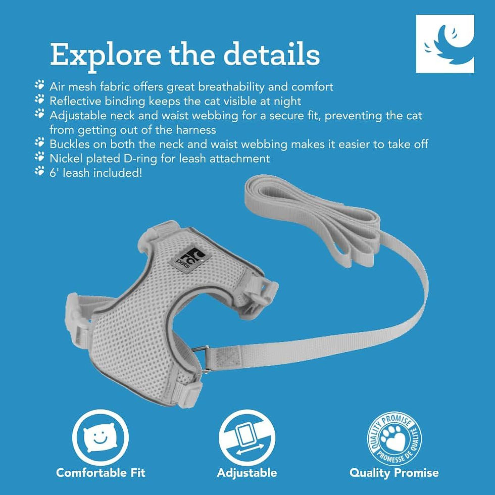 Thumbnail: RC Pets Adventure Kitty Harness - Teal