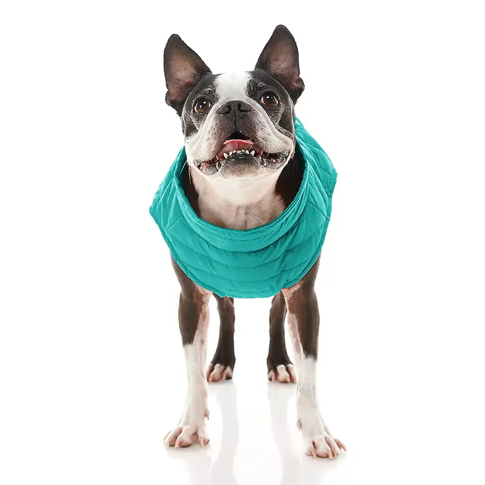 Thumbnail: Gooby Pet Puffer Vest for dogs, featuring a colorful and insulated design, available at CHOW Bella Pet Health Store.
