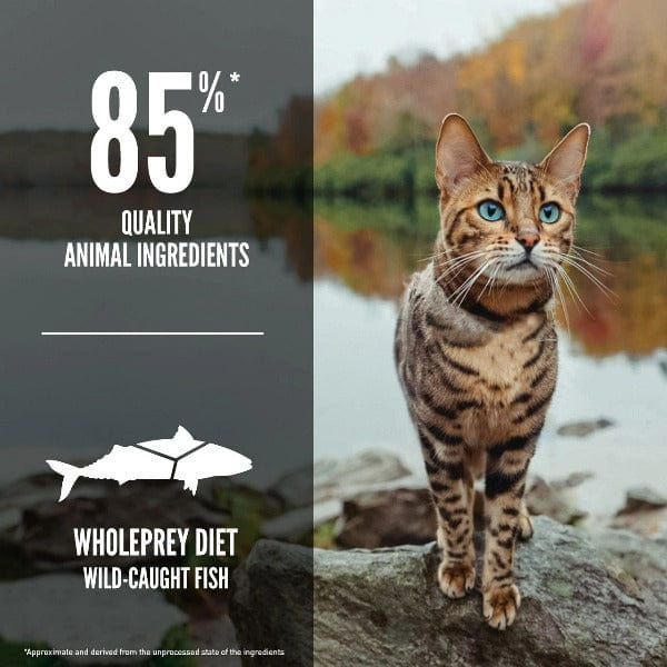 Thumbnail: ORIJEN™ Six Fish Cat Food with wild-caught fish, high protein, and omega fatty acids for healthy digestion and a shiny coat.