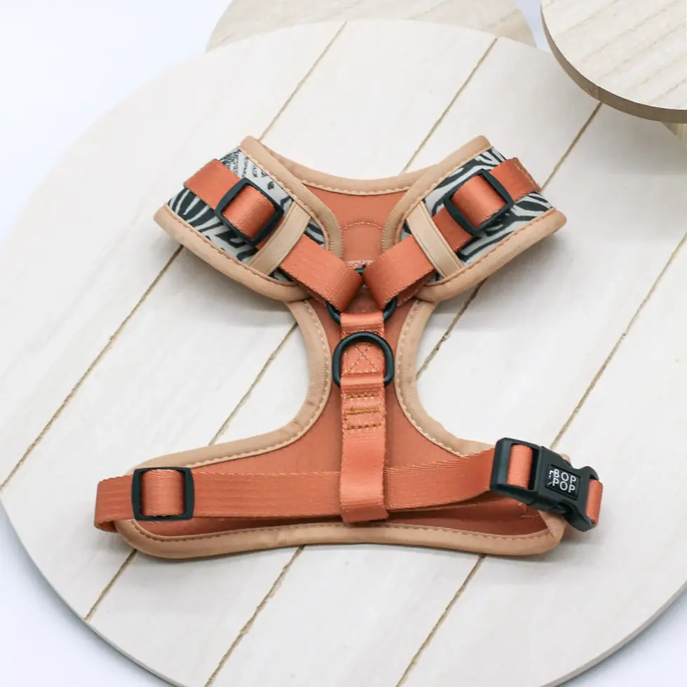 Thumbnail: Luna Dog Harness from Bop Pop Pets, featuring a soft, adjustable design in bright colors, ideal for comfortable and stylish