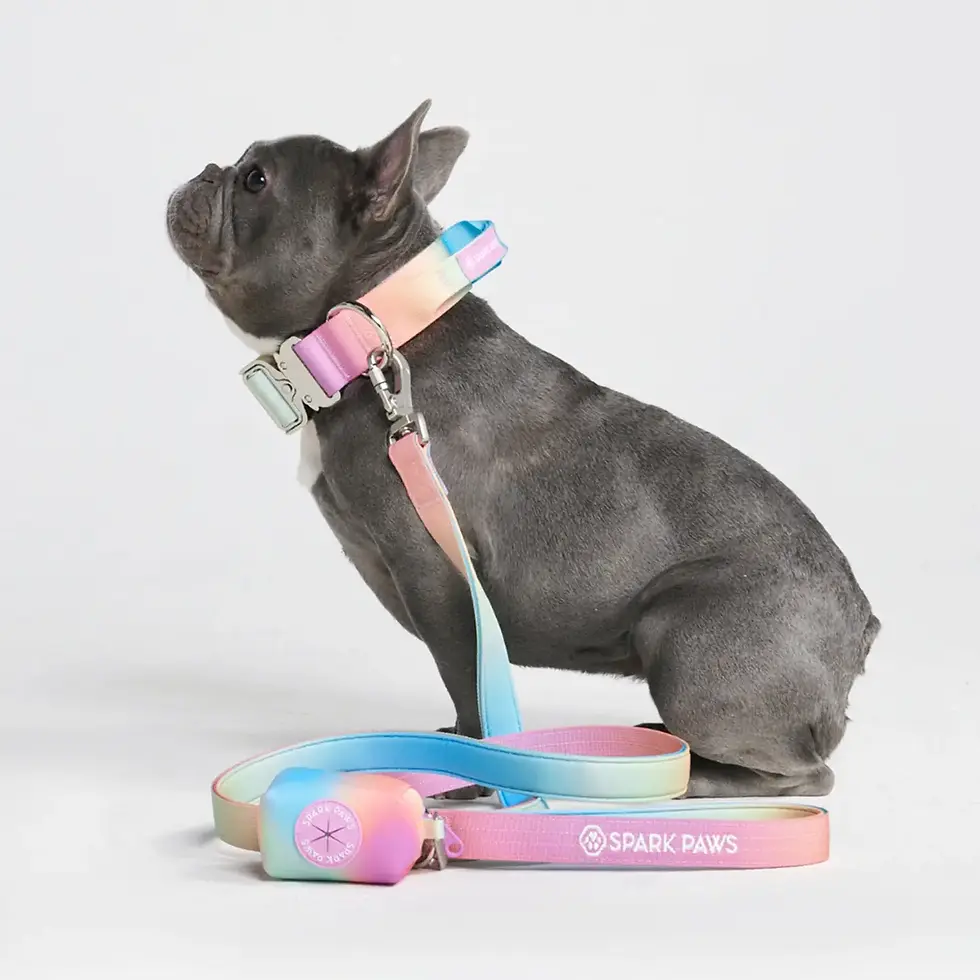 Thumbnail: Spark Paws Comfort Control Dog Leash - Pastel Icing