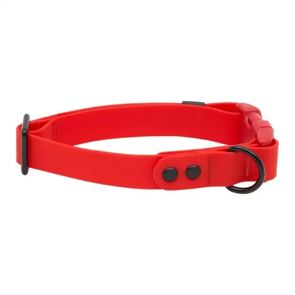 RC Pets Waterproof Collar: Reliable protection for your pet with durability that lasts."