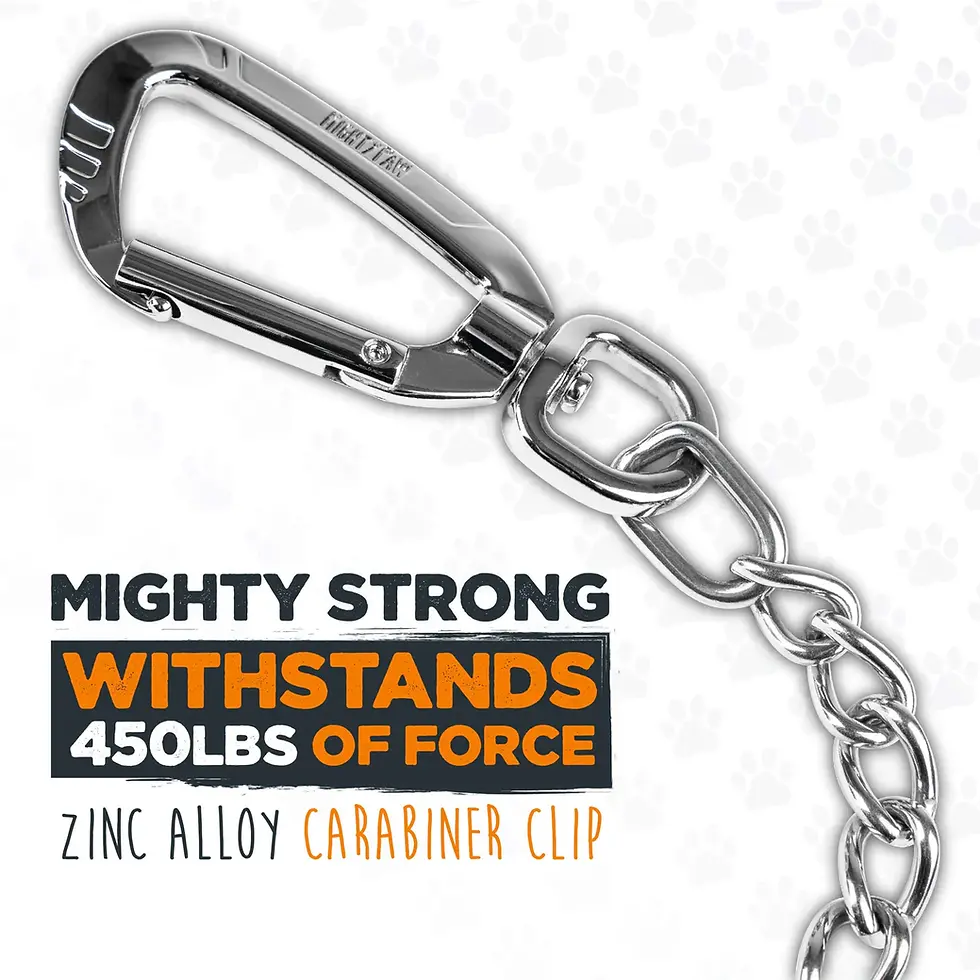 Thumbnail: Mighty Paw Chew-Proof Chain Leash