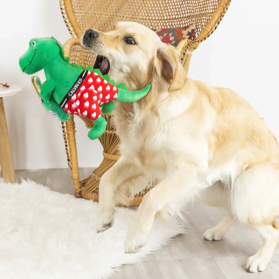Thumbnail: Fringe Pet 'Bachelor Rex' Plush Dog Toy