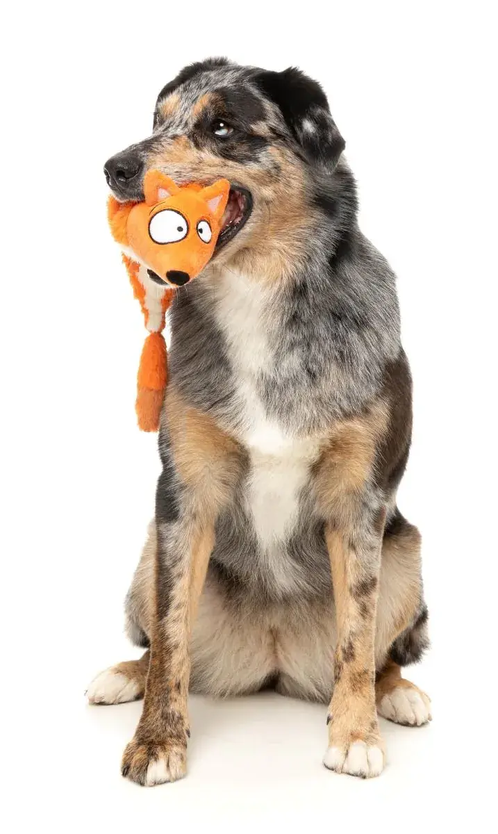 Thumbnail: Fuzzyard Farewell Fox - The Yeetz - Dog Toy