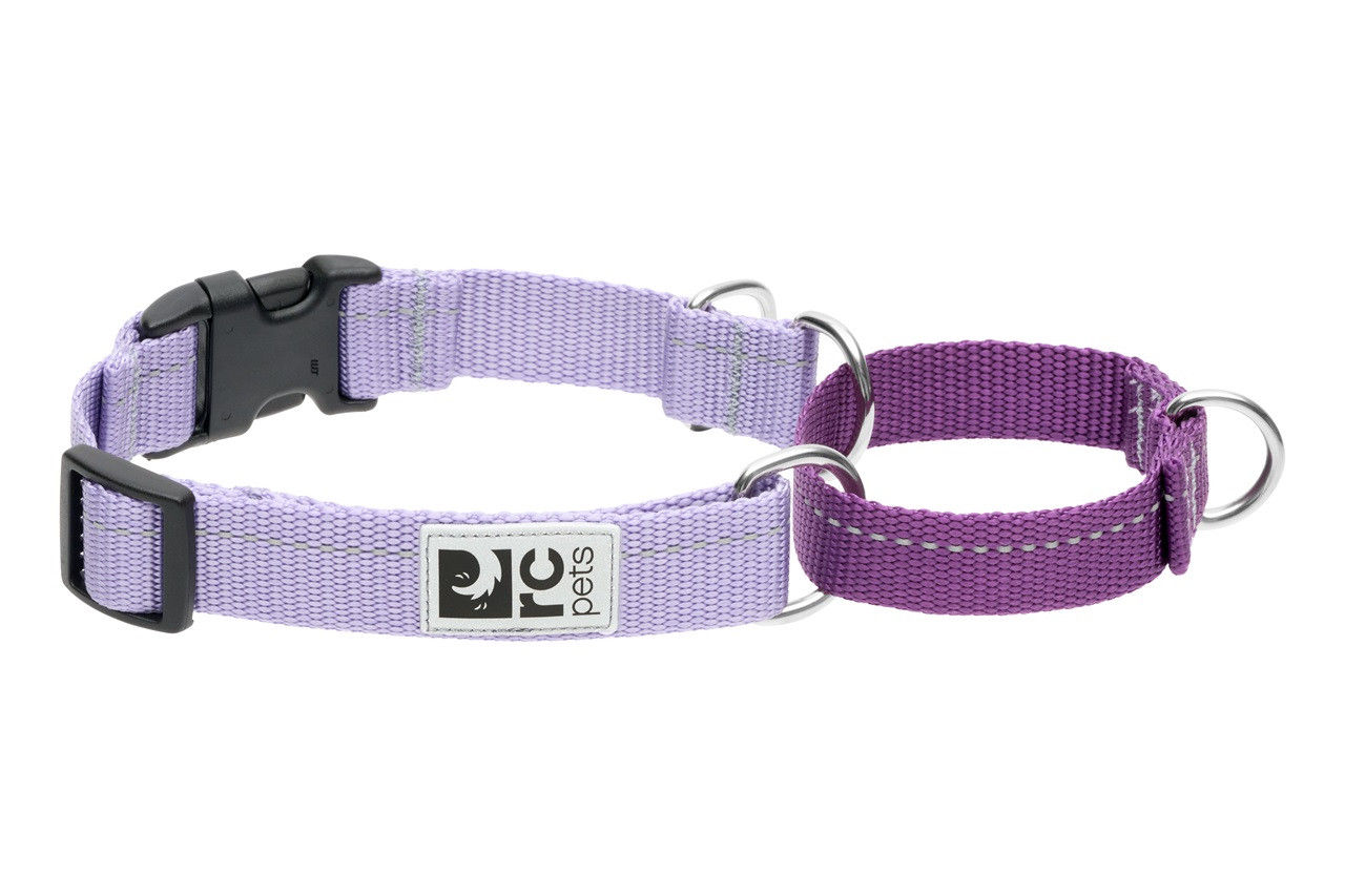 RC Pets Primary Web Training Clip Collar - Lilac/Purple