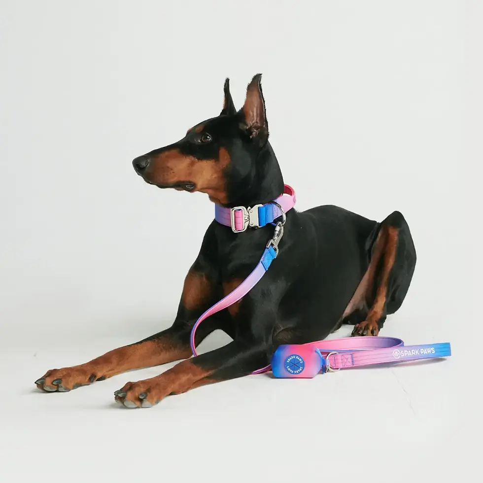 Thumbnail: Spark Paws Poop Bag Holder - Snow Cone