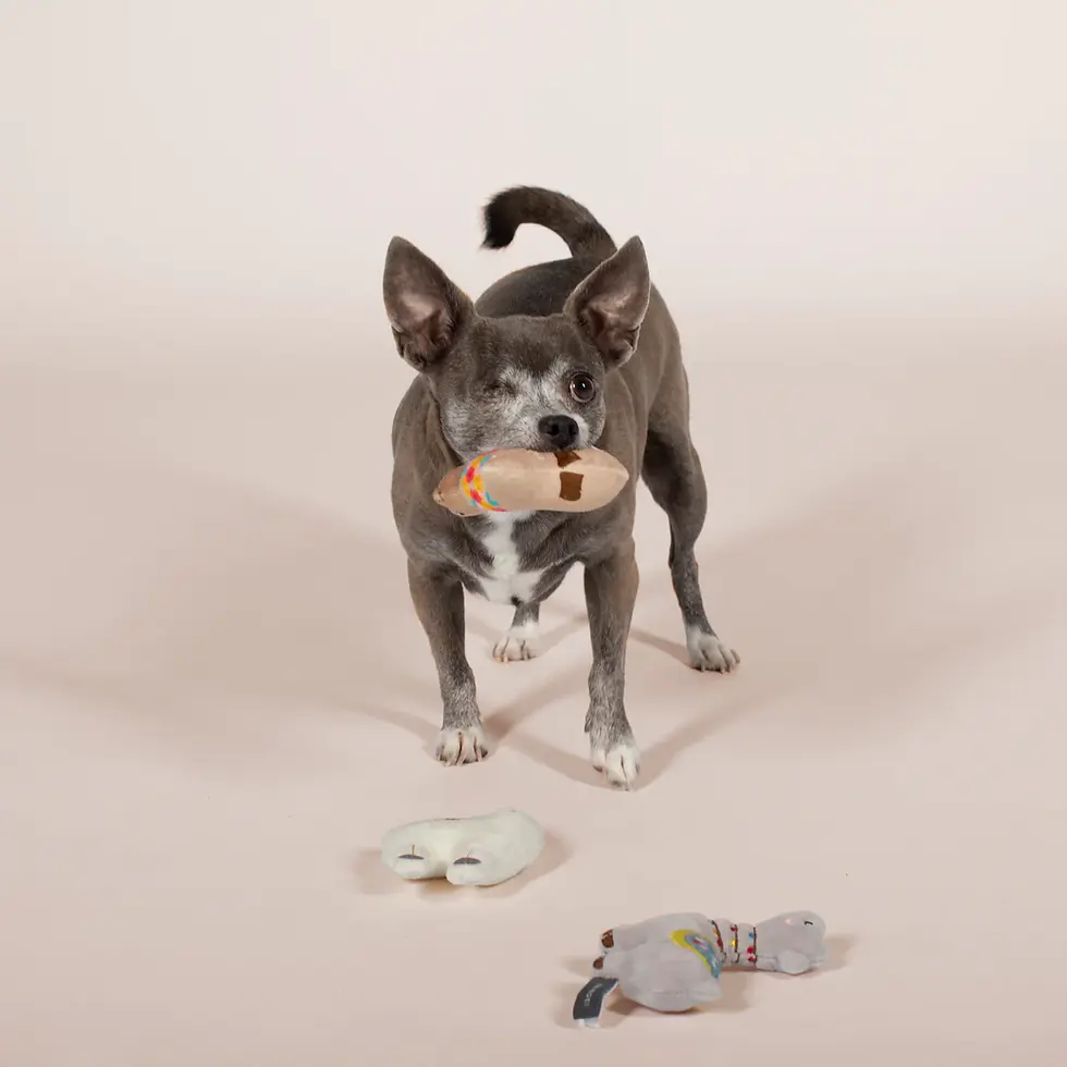 Thumbnail: Fringe Pet 'Llama Love' 3 Piece Dog Toy Set