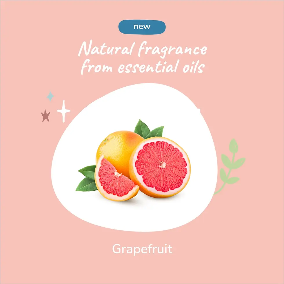 Thumbnail: Kin and Kind Grapefruit Waterless Bath for Dogs, a convenient spray-on solution to cleanse and deodorize your pet's coat