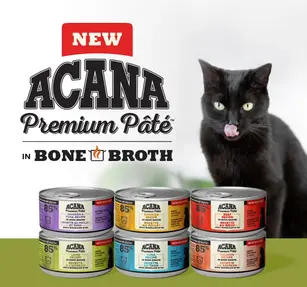 CAN-wet- MobileBanner_ENG.webp