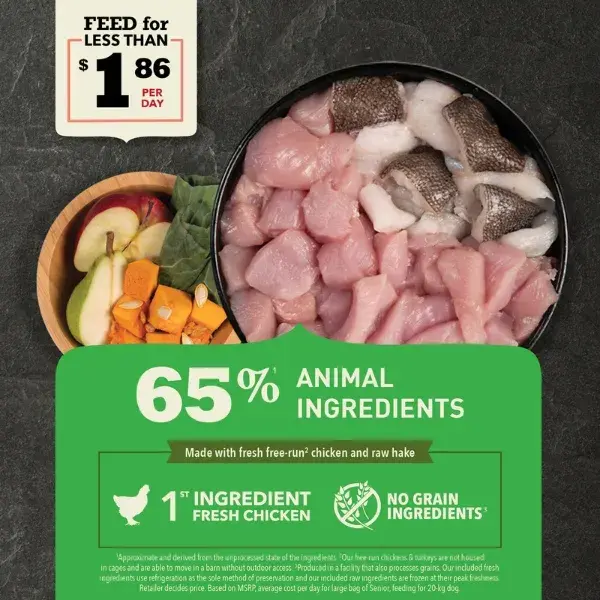 Thumbnail: ACANA™ Senior Recipe for dogs, made with fresh free-run chicken and raw hake, available at CHOW Bella Pet Health Store.