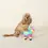 Thumbnail: Fringe 'Piñata Party Girl' Plush Dog Toy