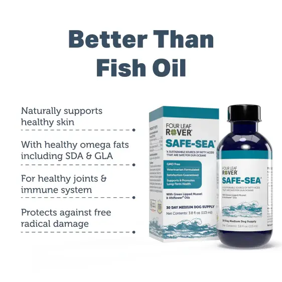 Thumbnail: Sea Safe Oil by Four Leaf Rover, a clean and sustainable omega-3 supplement for dogs.