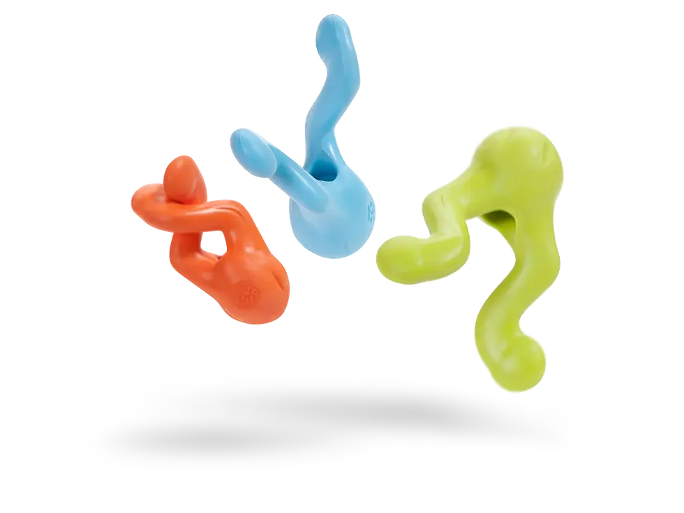 West Paw Tizzi dog toy - an interactive, versatile, and durable toy ideal for fetch, tug-of-war, and treat-dispensing