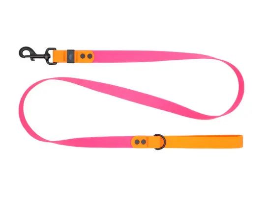 RC Pets Waterproof Leash: Dependable durability for all-weather walks with your pet