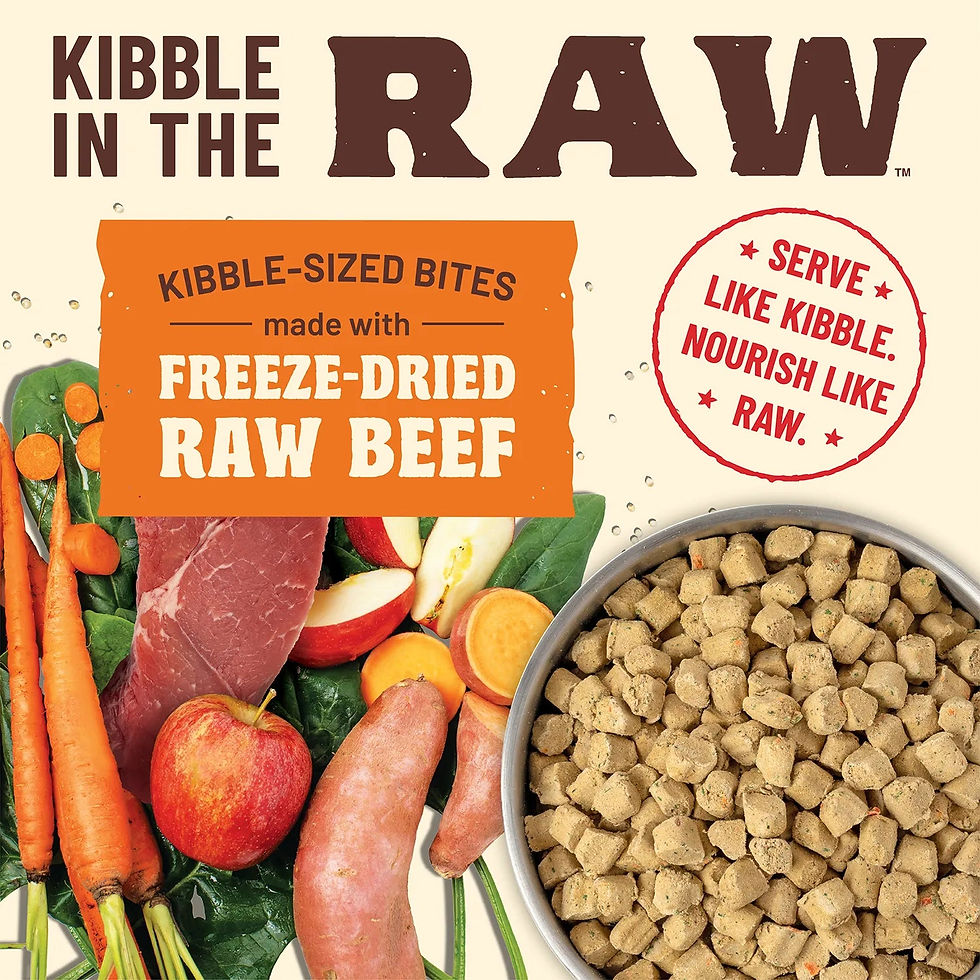 Thumbnail: Primal Kibble in the Raw Beef Recipe