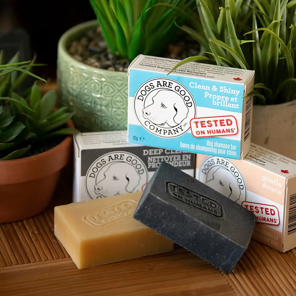 Dogs Are Good Company - Shampoo Bar