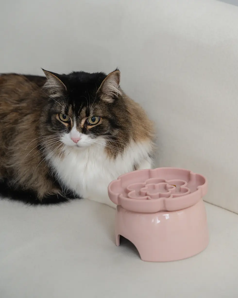 Thumbnail: Dexypaws Cat Flower Elevated Slow Feeder - Blush Pink