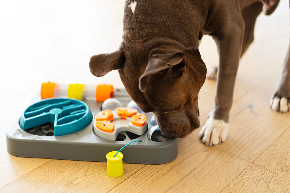 Thumbnail: Messy Mutts Flip'n Slide Puzzler Large Dog Puzzle