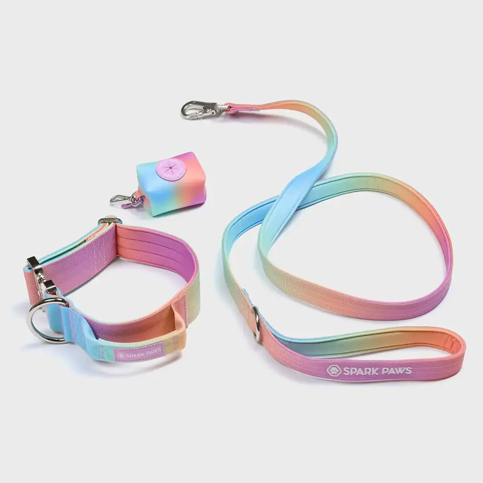 Thumbnail: Spark Paws Comfort Control Dog Leash - Pastel Icing