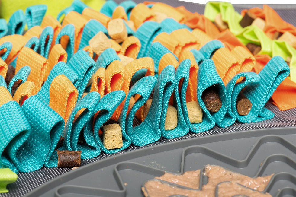 Thumbnail: Image: Messy Mutts Snuffle and Forage Mat, designed to engage dogs' natural foraging instincts, providing an interactive way