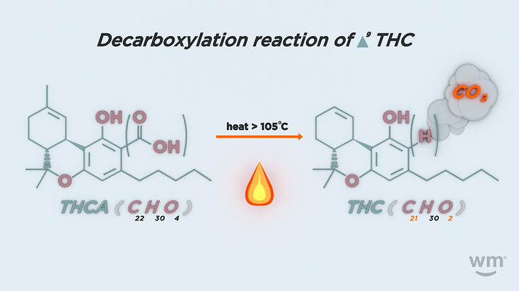VID-1149_Infographic_Decarboxylation_V4-