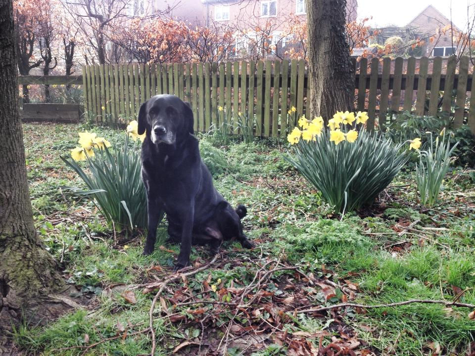 1920283_10152261214489826_46198905_n - Copy.jpg