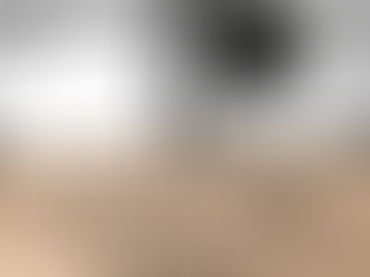 How To Create, Launch and Manage A Free WordPress Website