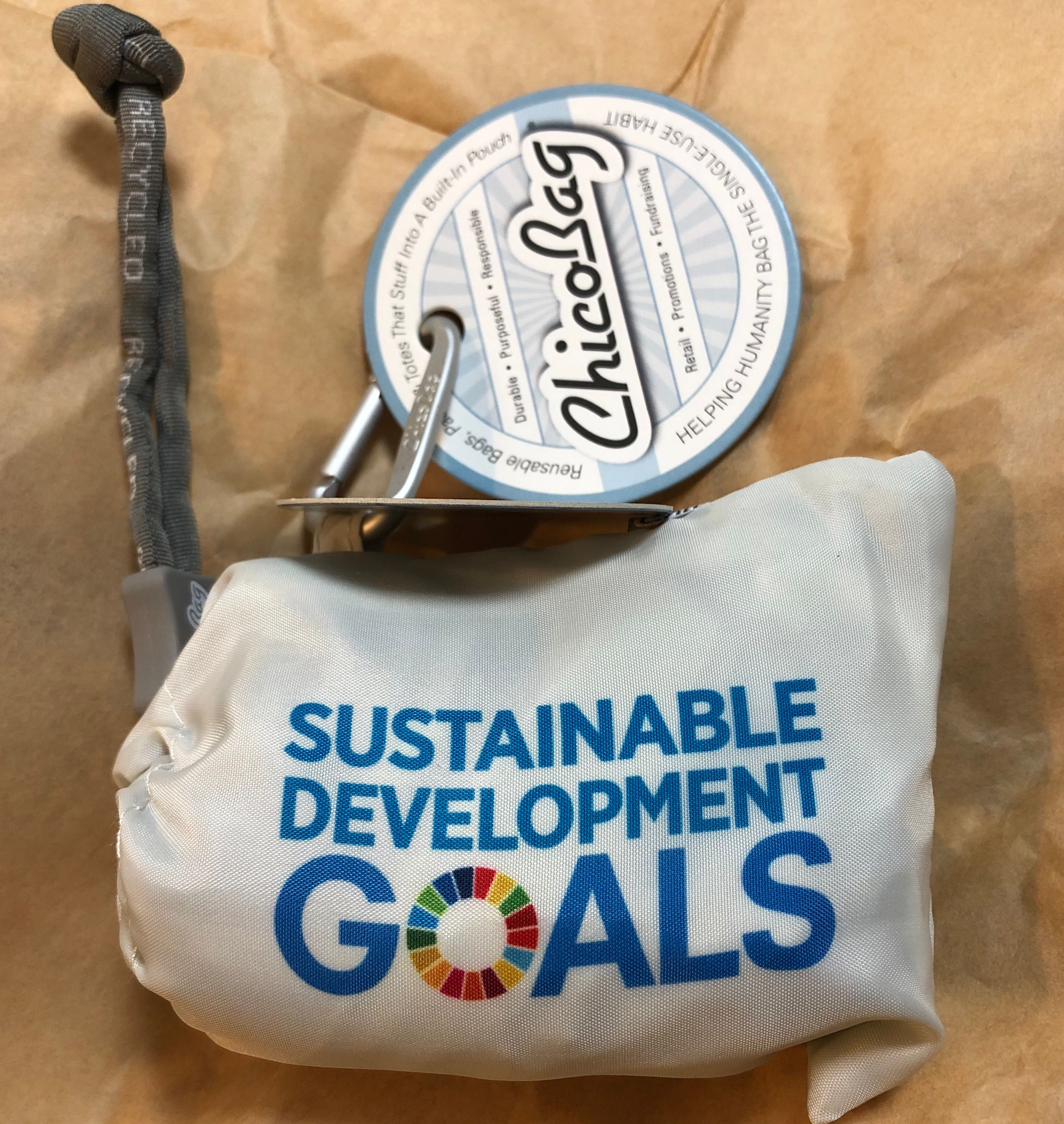 SDGsエコバッグ