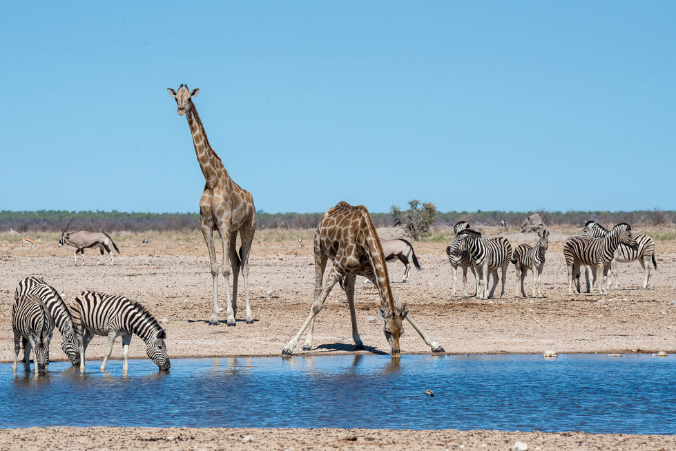 2015-11_Namibia-662