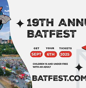 Bat Fest on Congress Bridge