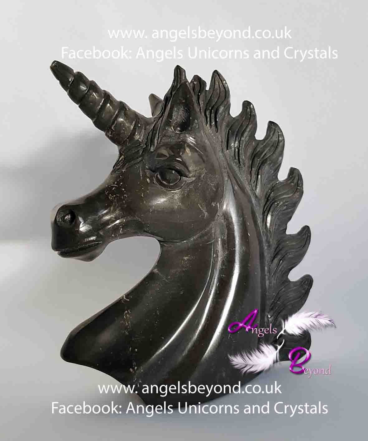 Avalon Unicorn-protection and guidance