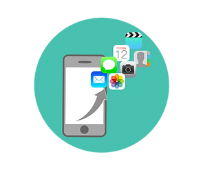 Data Recovery and Transfer