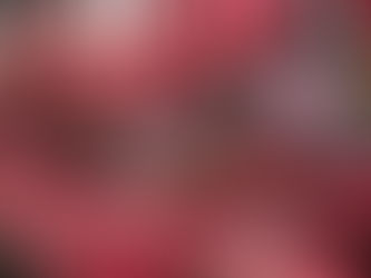 אטליז? קצביה? תכירו את פריט 4.7ג בצו רישוי עסקים