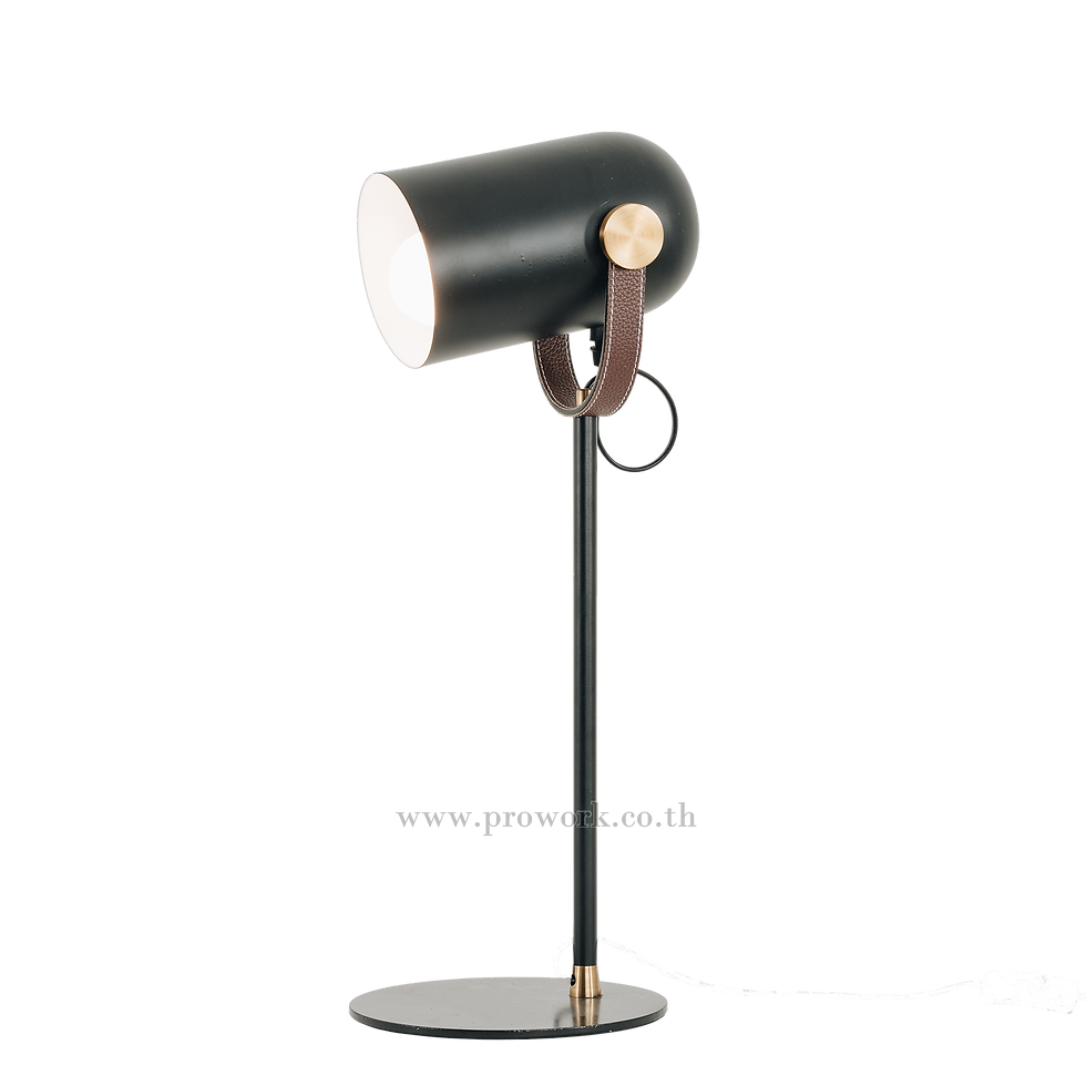 โคมไฟตั้งโต๊ะ, โคมไฟสวยงาม , โคมไฟ, โคมไฟโมเดิร์น , โคมอ่านหนังสือ , โคมไฟตกแต่ง, Table Lamp XX32, Lamp, Table Lamp
