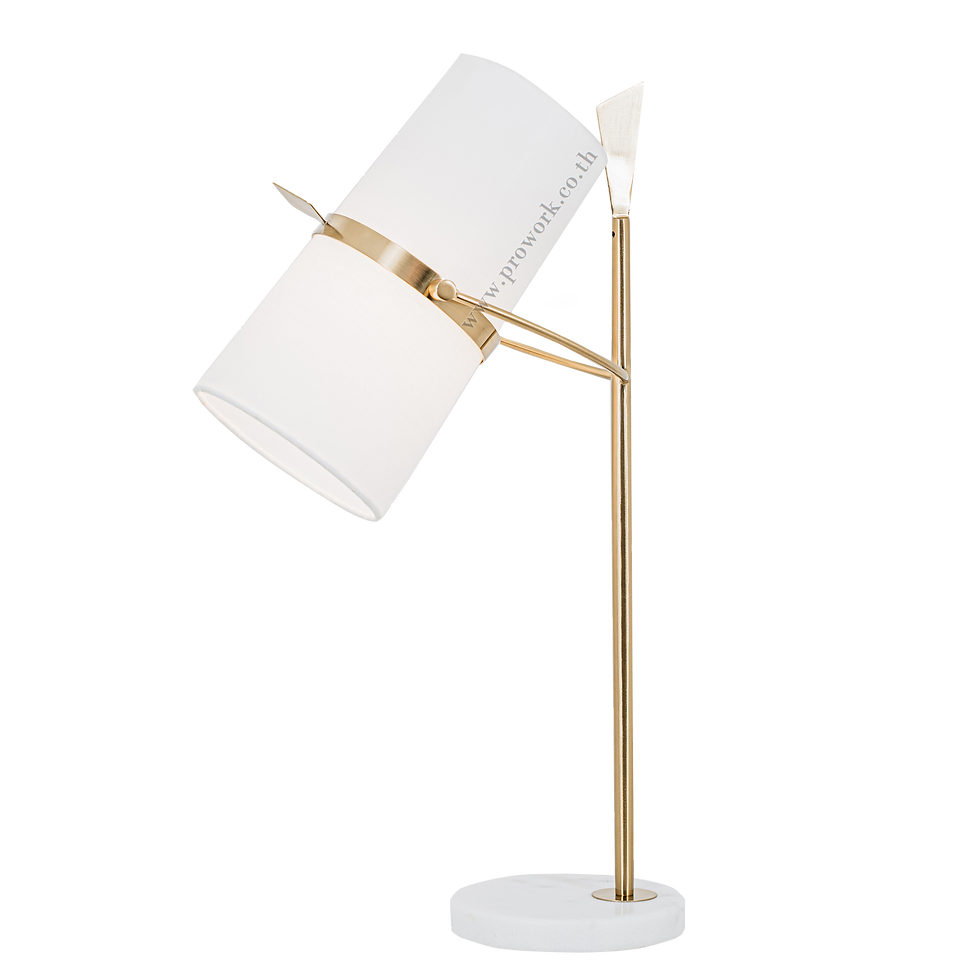 โคมไฟตั้งโต๊ะ, โคมไฟสวยงาม , โคมไฟ, โคมไฟโมเดิร์น , โคมอ่านหนังสือ , โคมไฟตกแต่ง, Table Lamp XX57, Lamp, Table Lamp