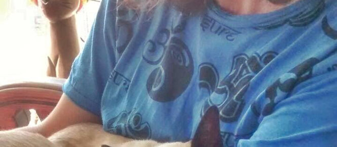 A Chat With Colleen Kersey, Animal Communicator. Pt 2