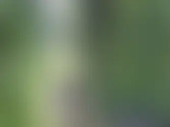 The Lodge at East Ruston Cottages