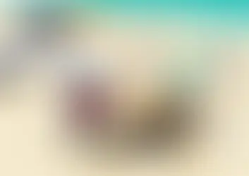 A lady and her spaniel on the beach