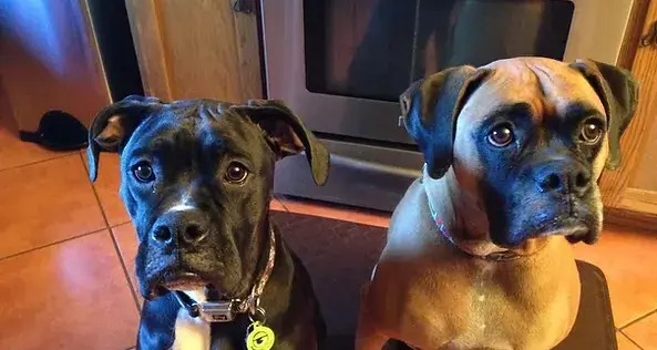 A very special client