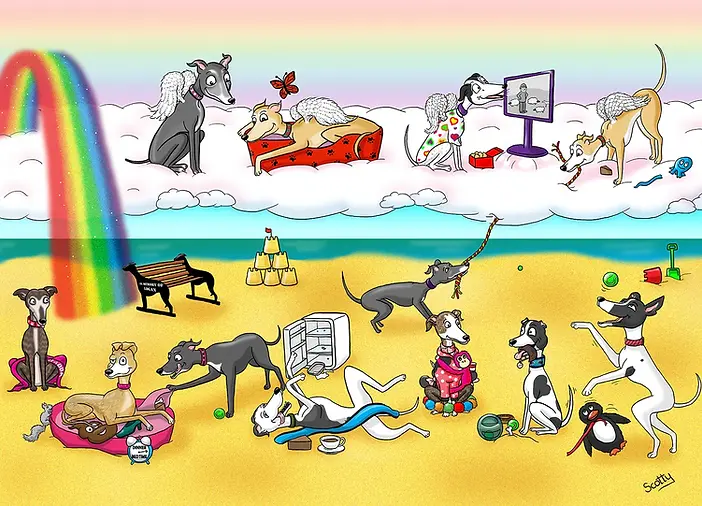 Galgos at rainbow bridge portrait