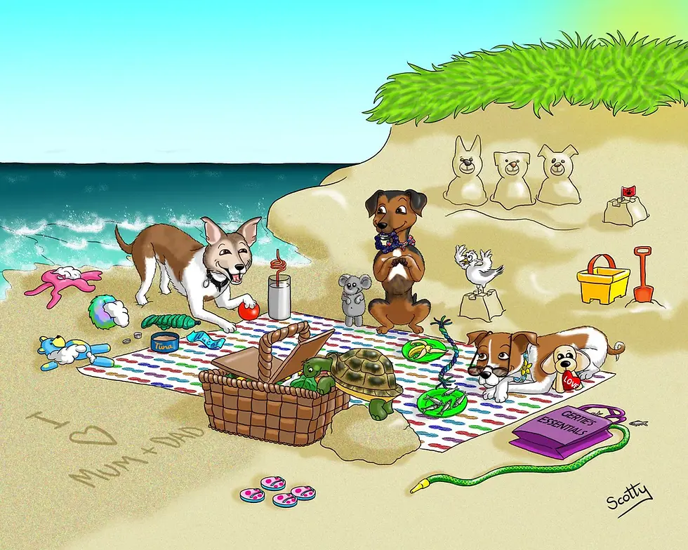 Portrait of three beautiful dogs at the beach with their favourite things