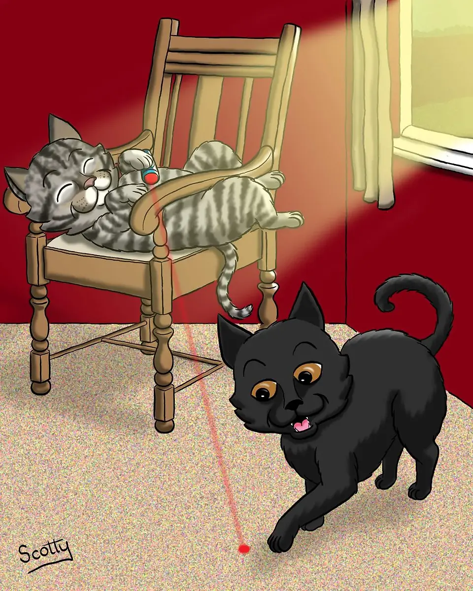 Cats pet portrait by Scotty