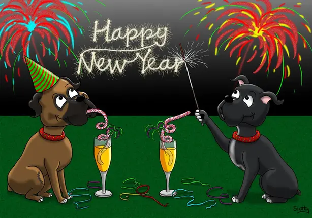 Boxer dogs new year