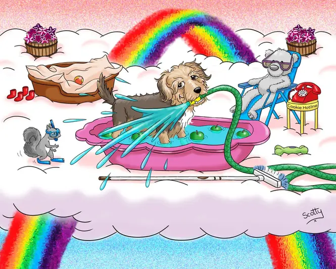 Colourful terrier rainbow portrait