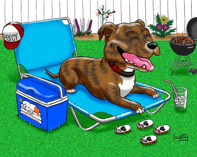 Staffie dog in the sunshine