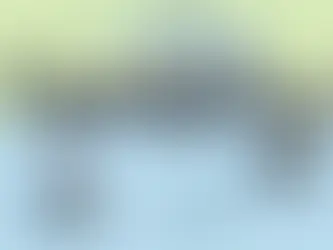 A Cartoon Message For Rachel Spencer: Pet Business Coach